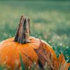 How Is Halloween Celebrated Around the World?